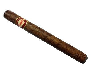 Disposable E-Cigar Shisha Time