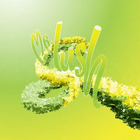 Mr. Slush E Liquid Vape